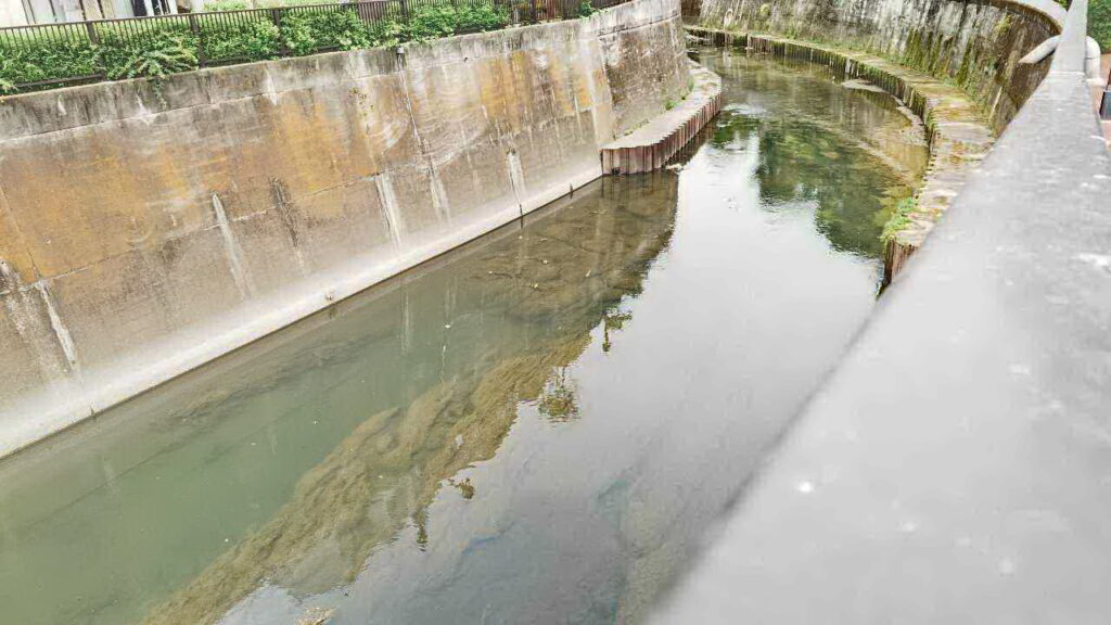 都市河川の石神井川の写真。意外に透明度は高い。